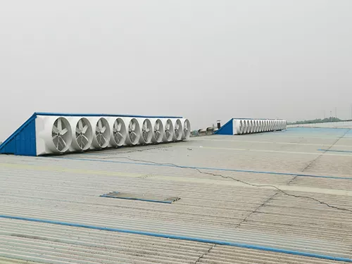 1659058341126190.jpg
