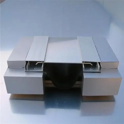 1665637888245410.jpg 地面变形缝 (2).jpg