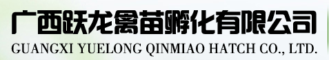跃龙禽苗孵化
