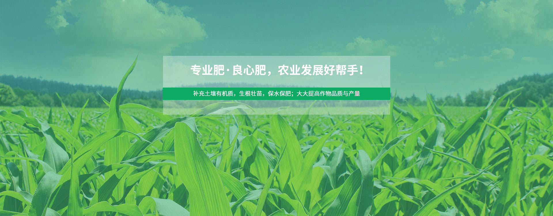 广告