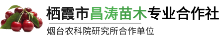昌涛苗木专业合作社