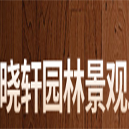 晓轩园林景观工程