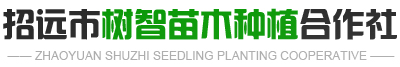 树智苗木