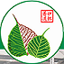 伊怀普道环保