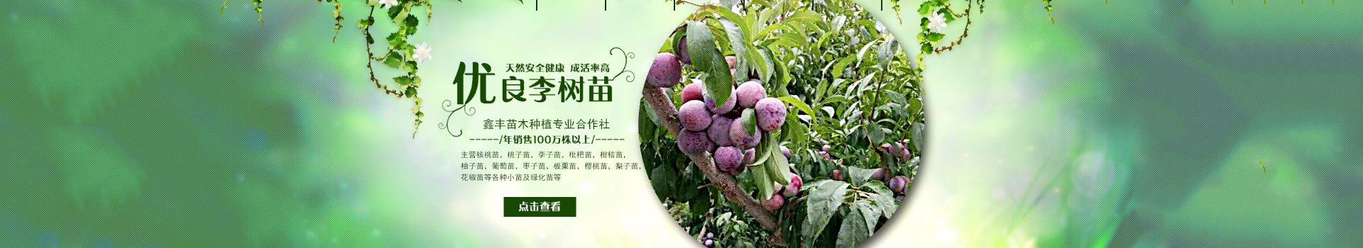 广告