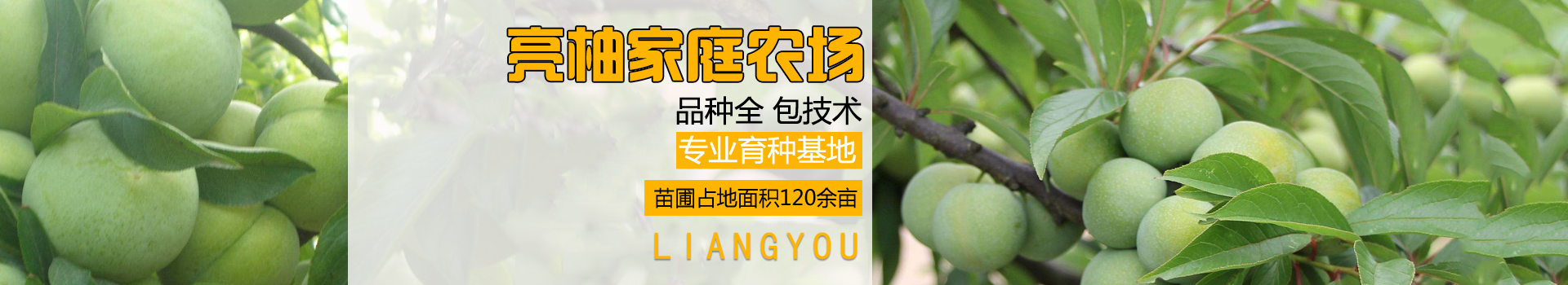 广告