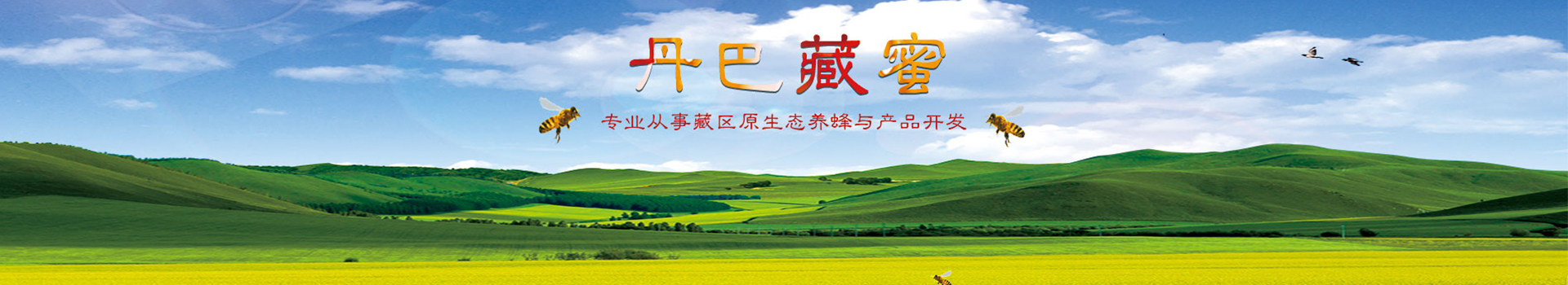广告