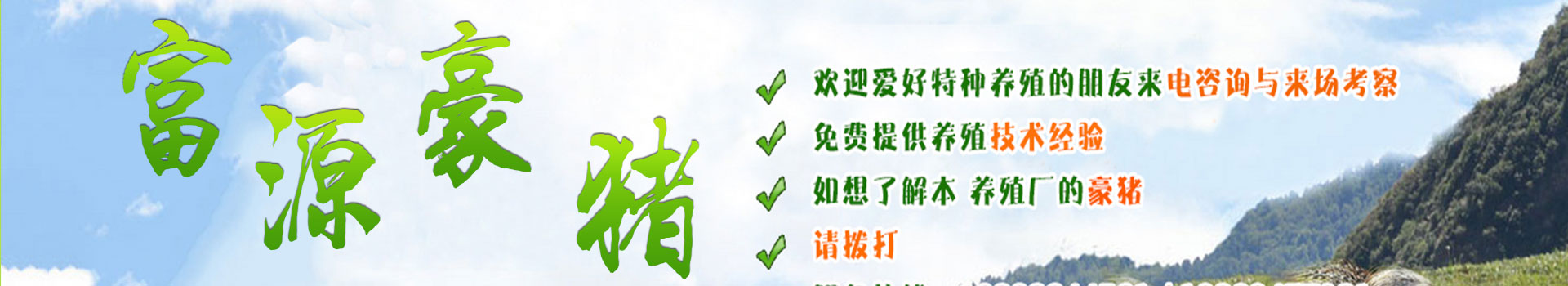 广告