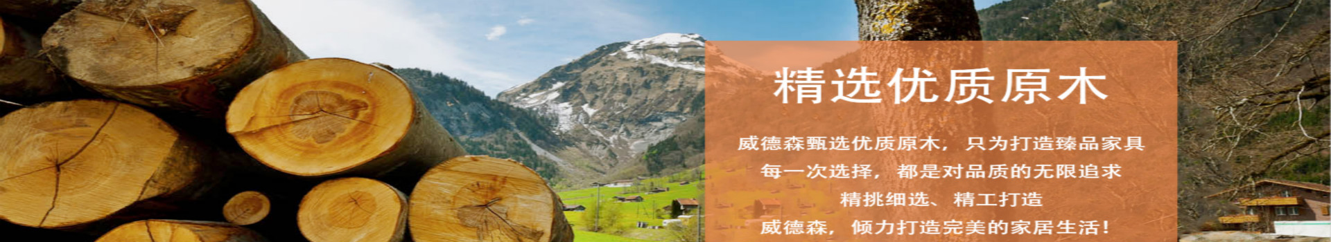 广告