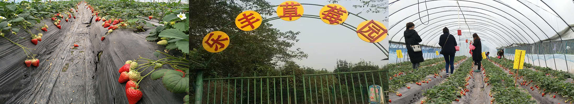 广告