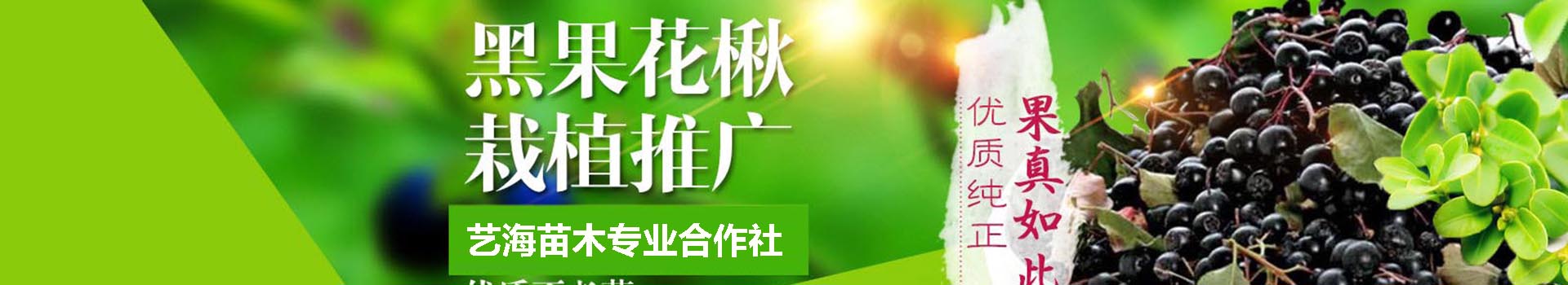 广告