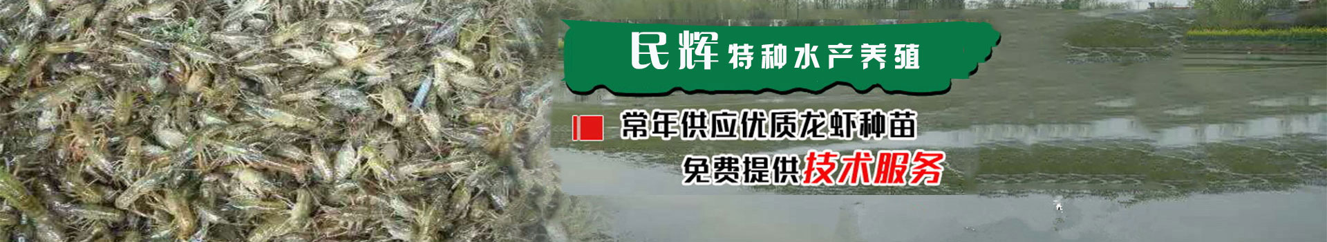 广告