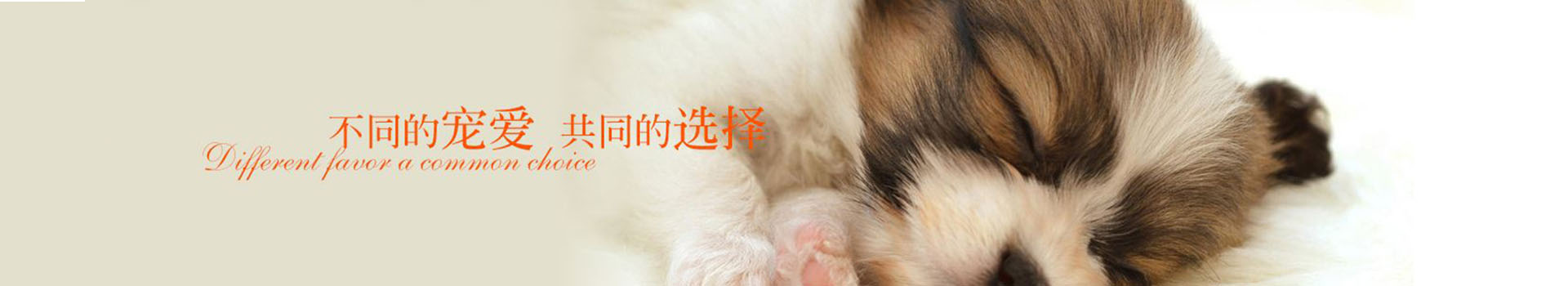 广告