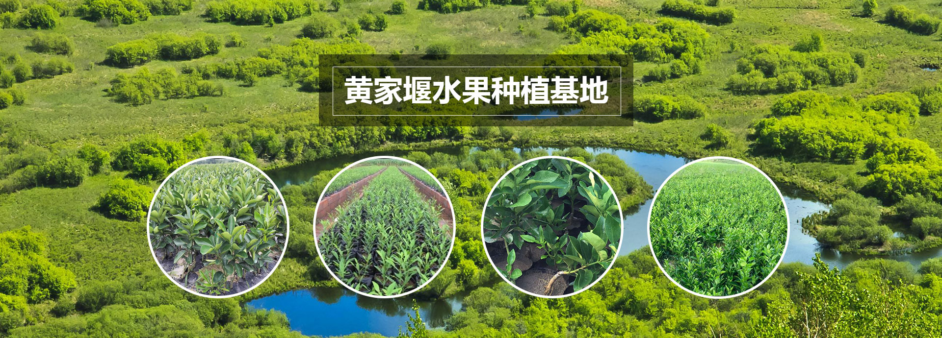 广告