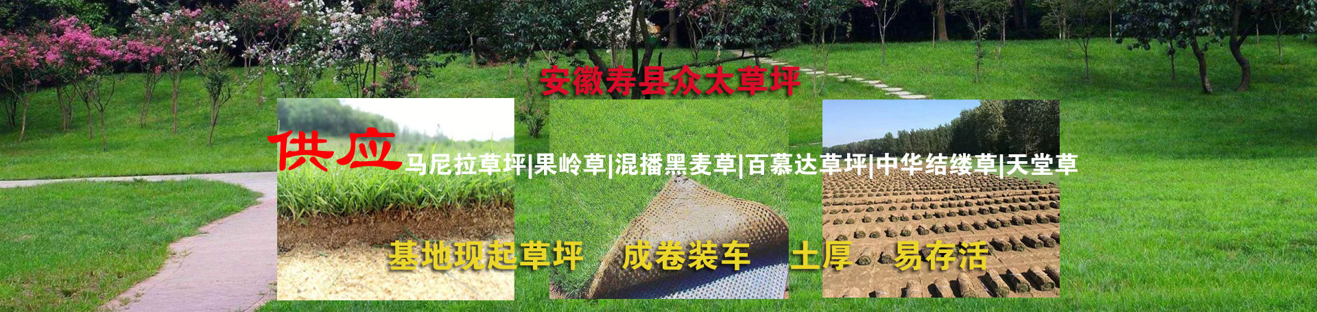 广告
