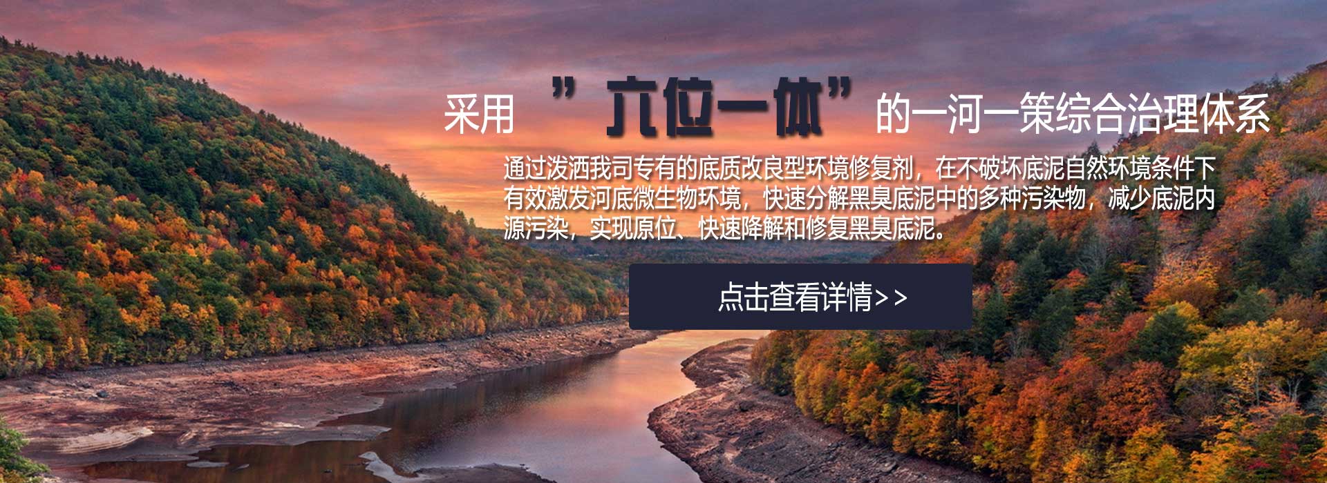 广告