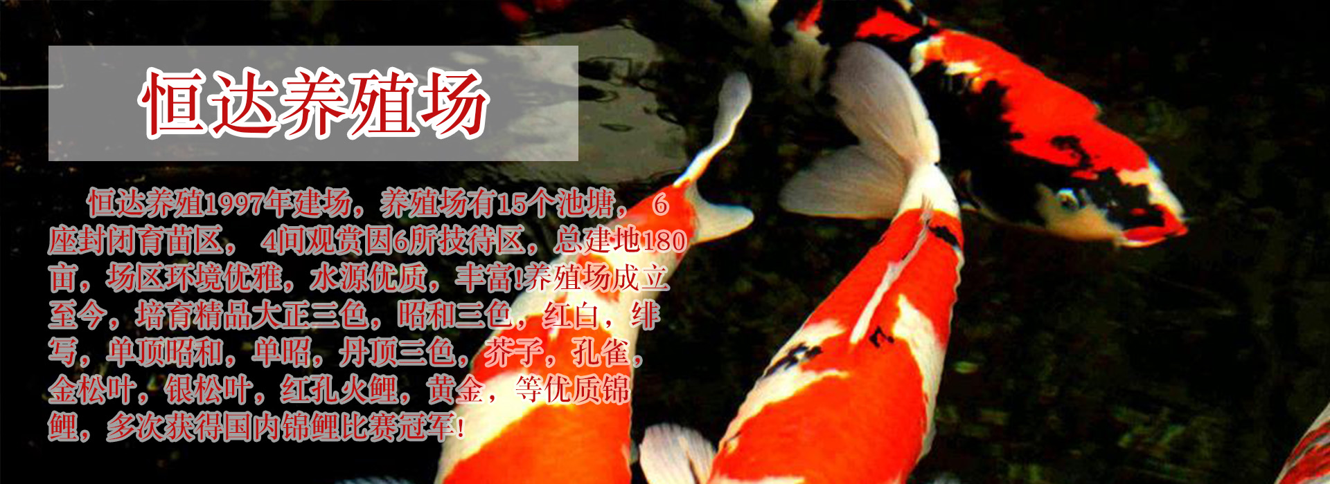 广告