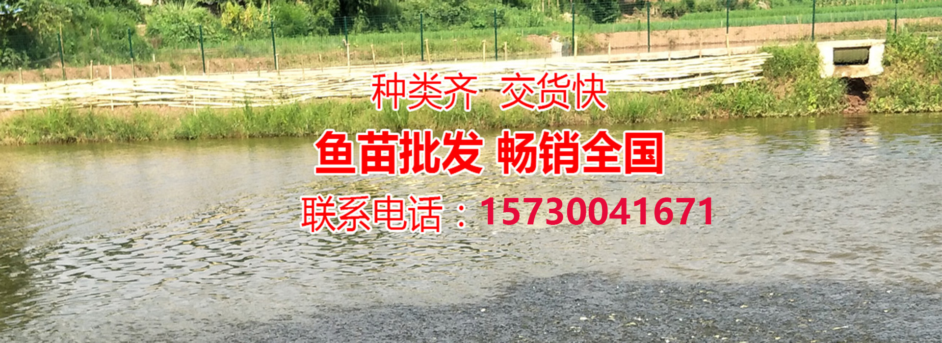 广告