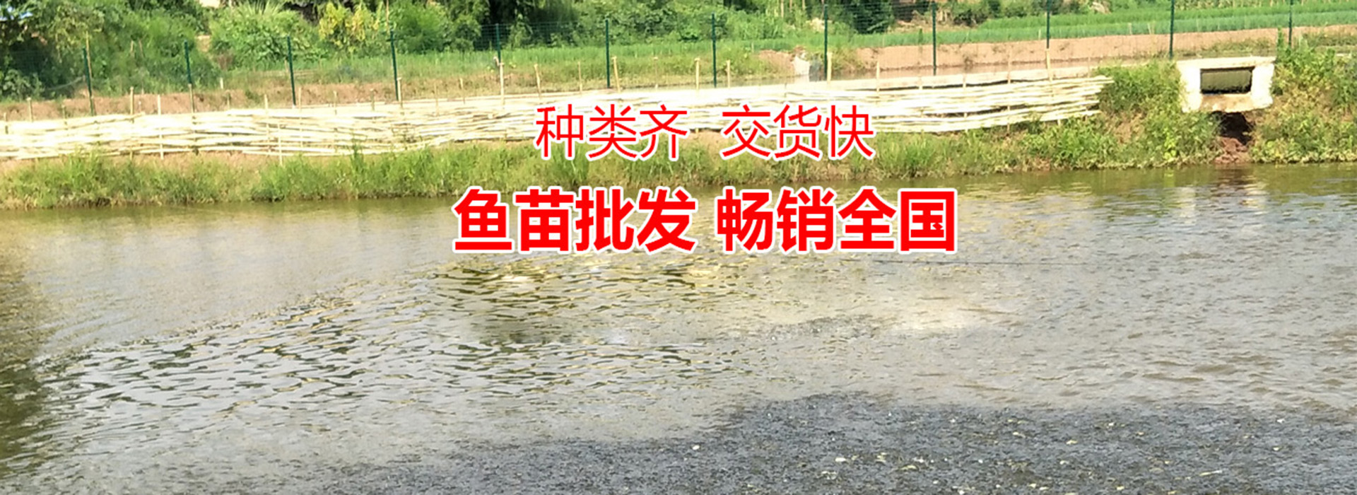 广告