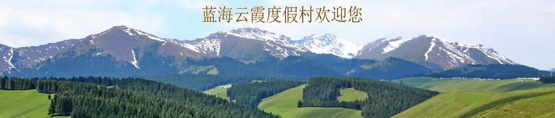 广告