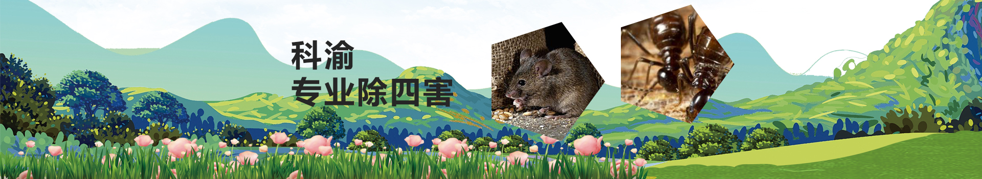 广告