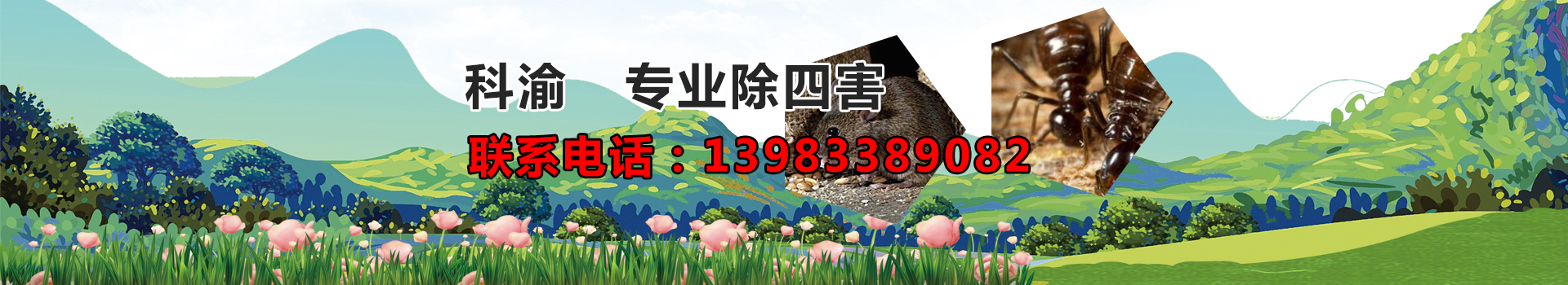 广告