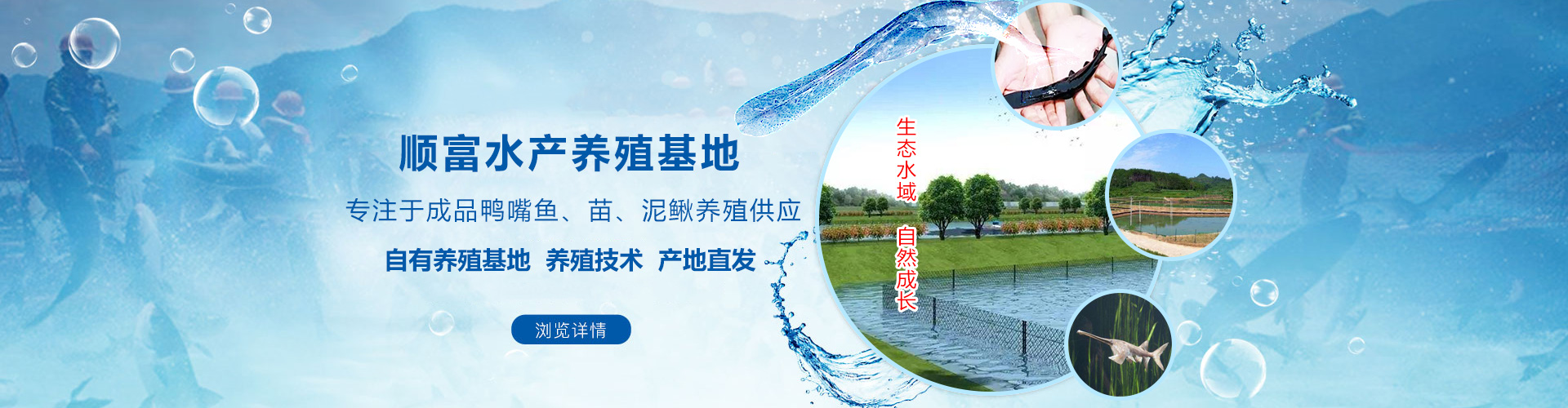 广告