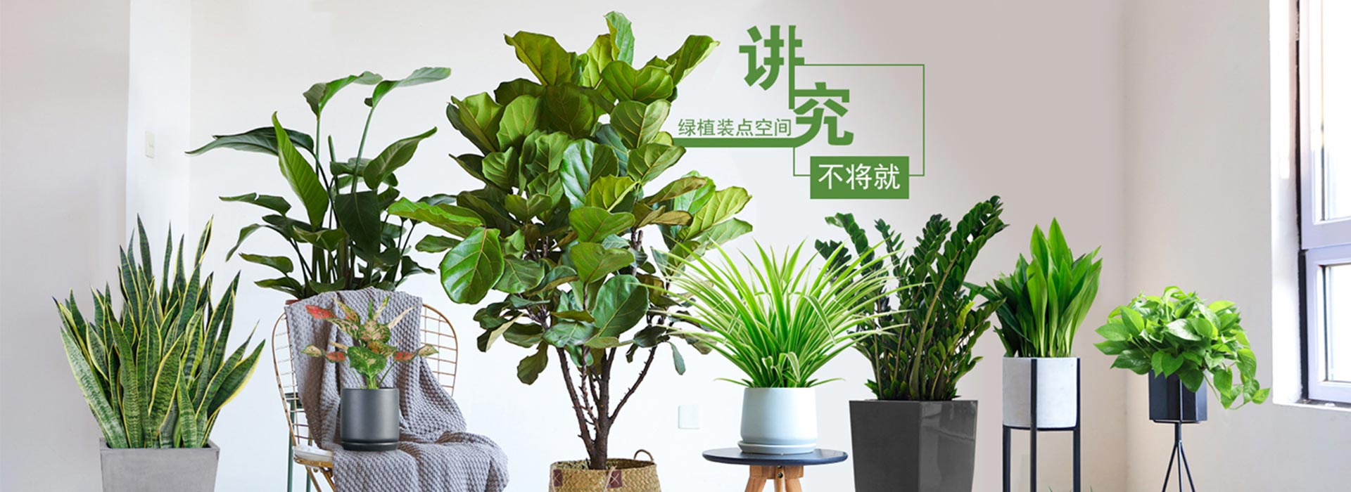 广告