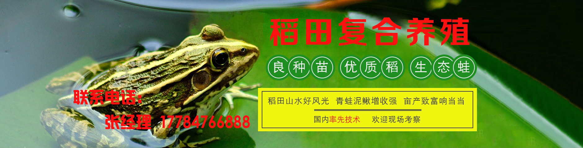 广告