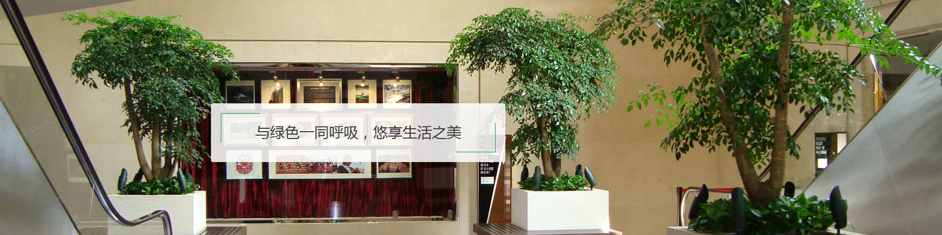 广告
