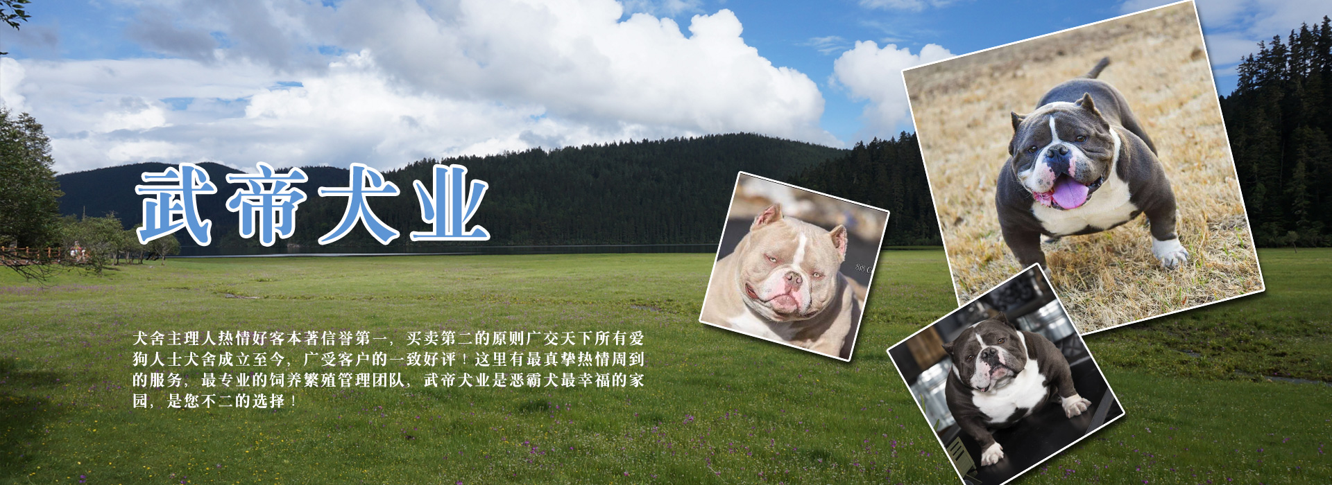 广告