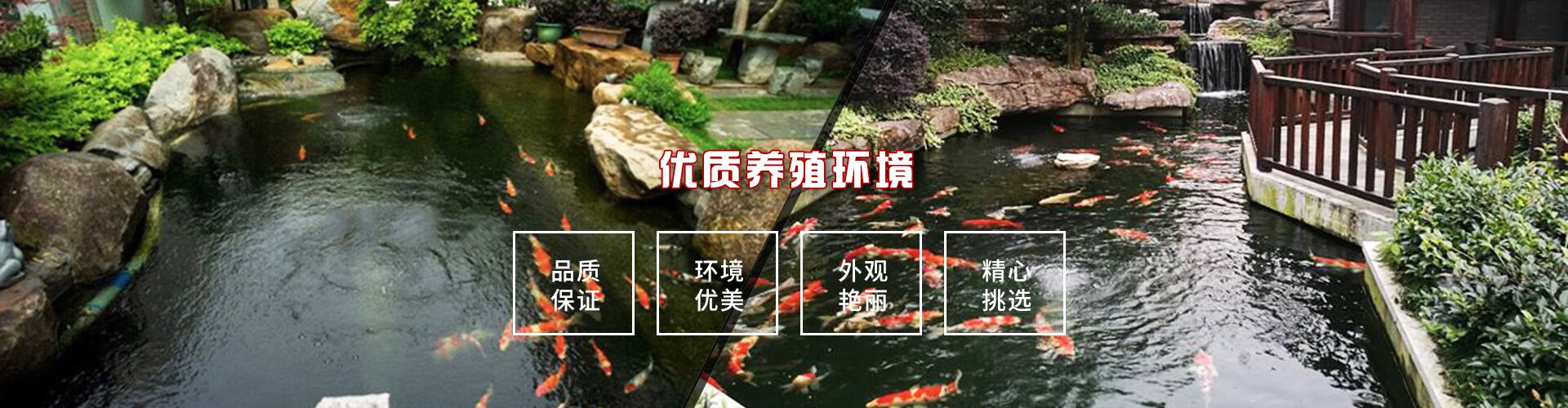 广告