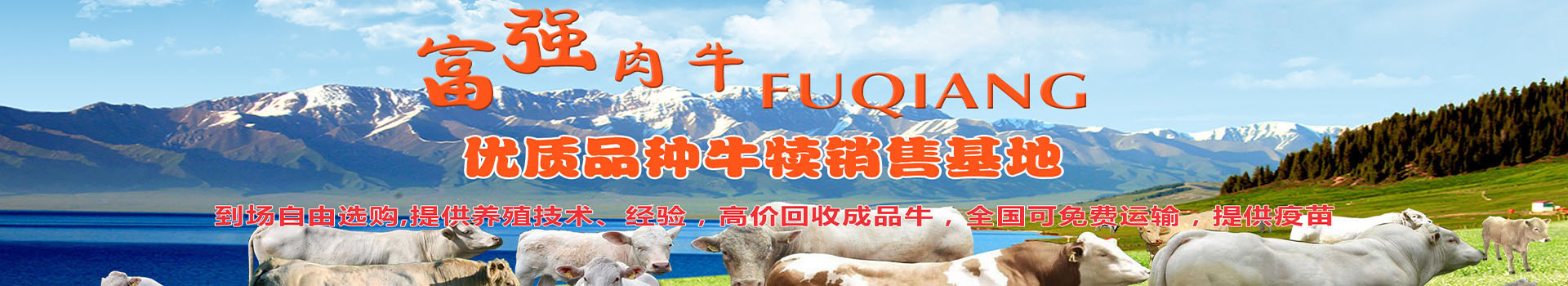广告