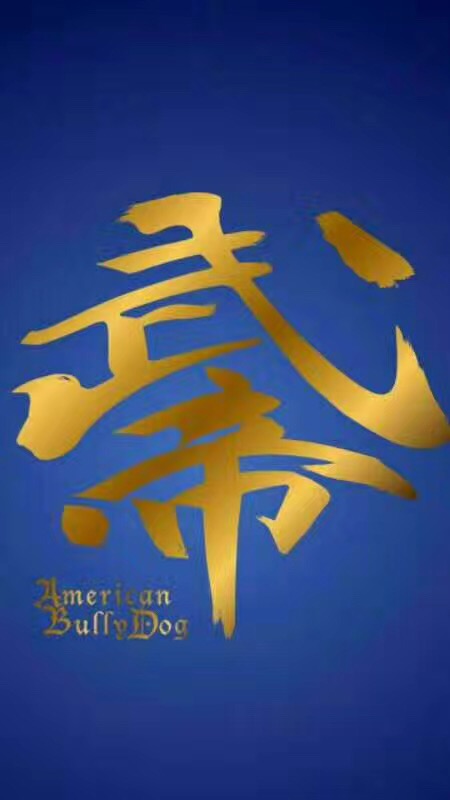 武帝犬业