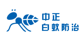 中正白蚁防治