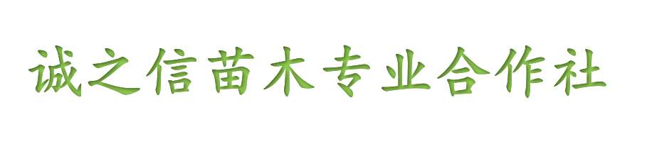 诚之信苗木专业合作社