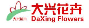 大兴花卉
