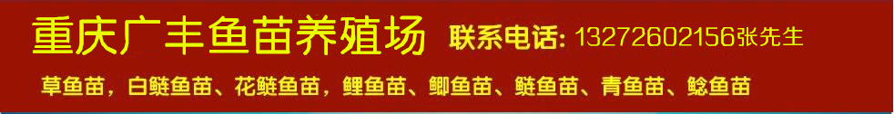 众兴生态鱼苗