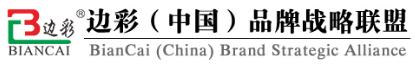 新瓷科技