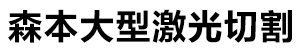 森本大型激光切割