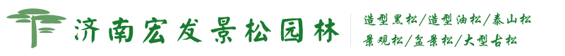 宏发景松