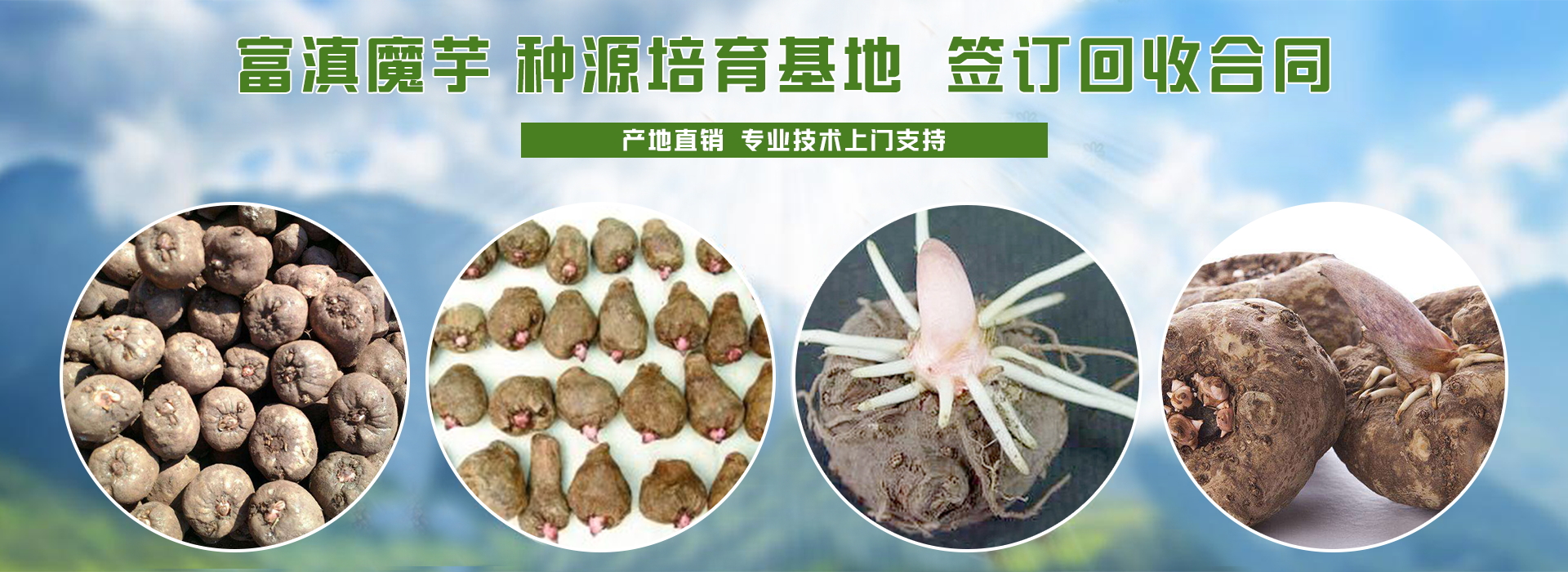 广告